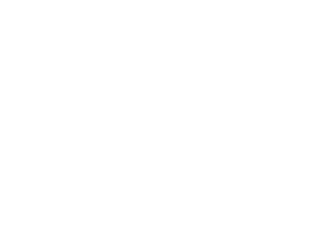 Sagardi