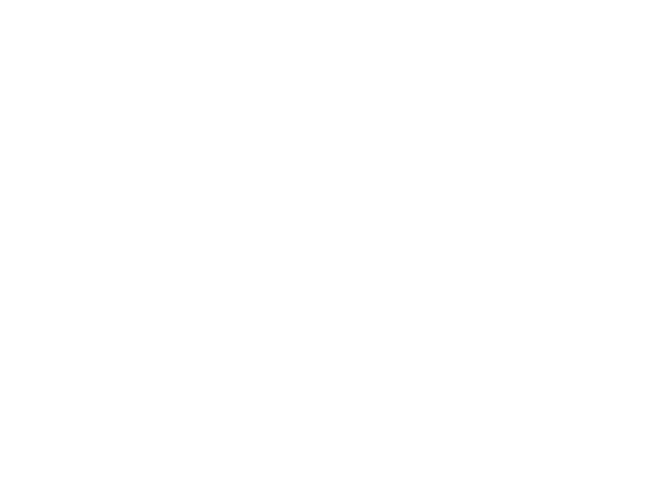 Sinaclo