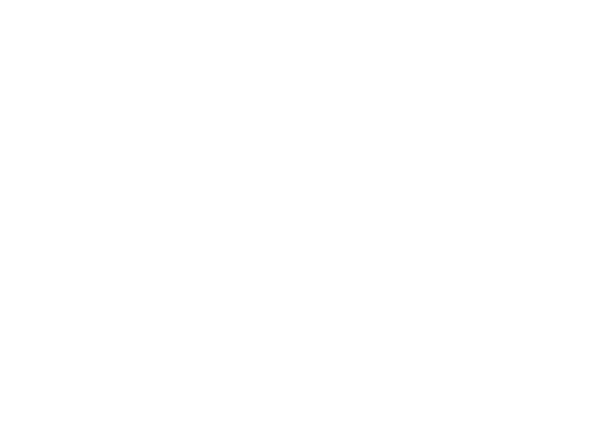 Ferrys