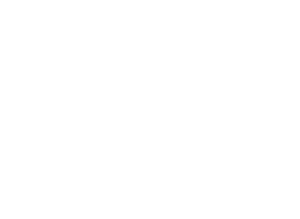 Dts-300x219-1