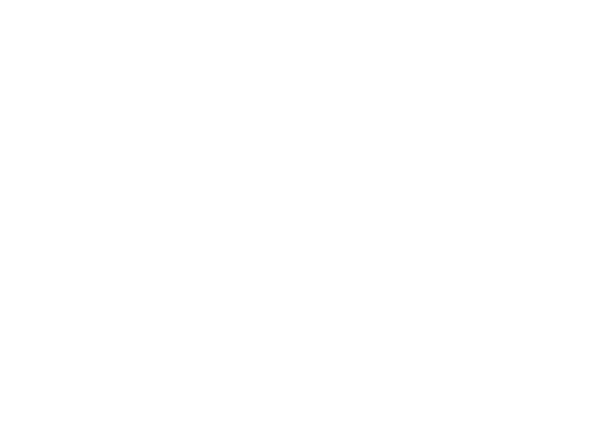 Ferrys