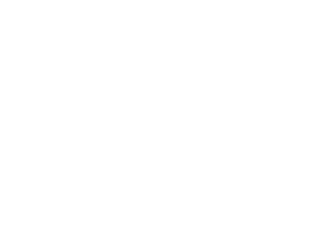 Nike-300x219-1