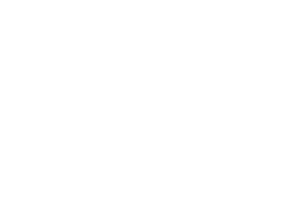 PASCH-300x219-1