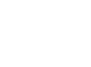 Sinaclo-300x219-1.webp