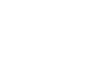 Zigurat-300x219-1